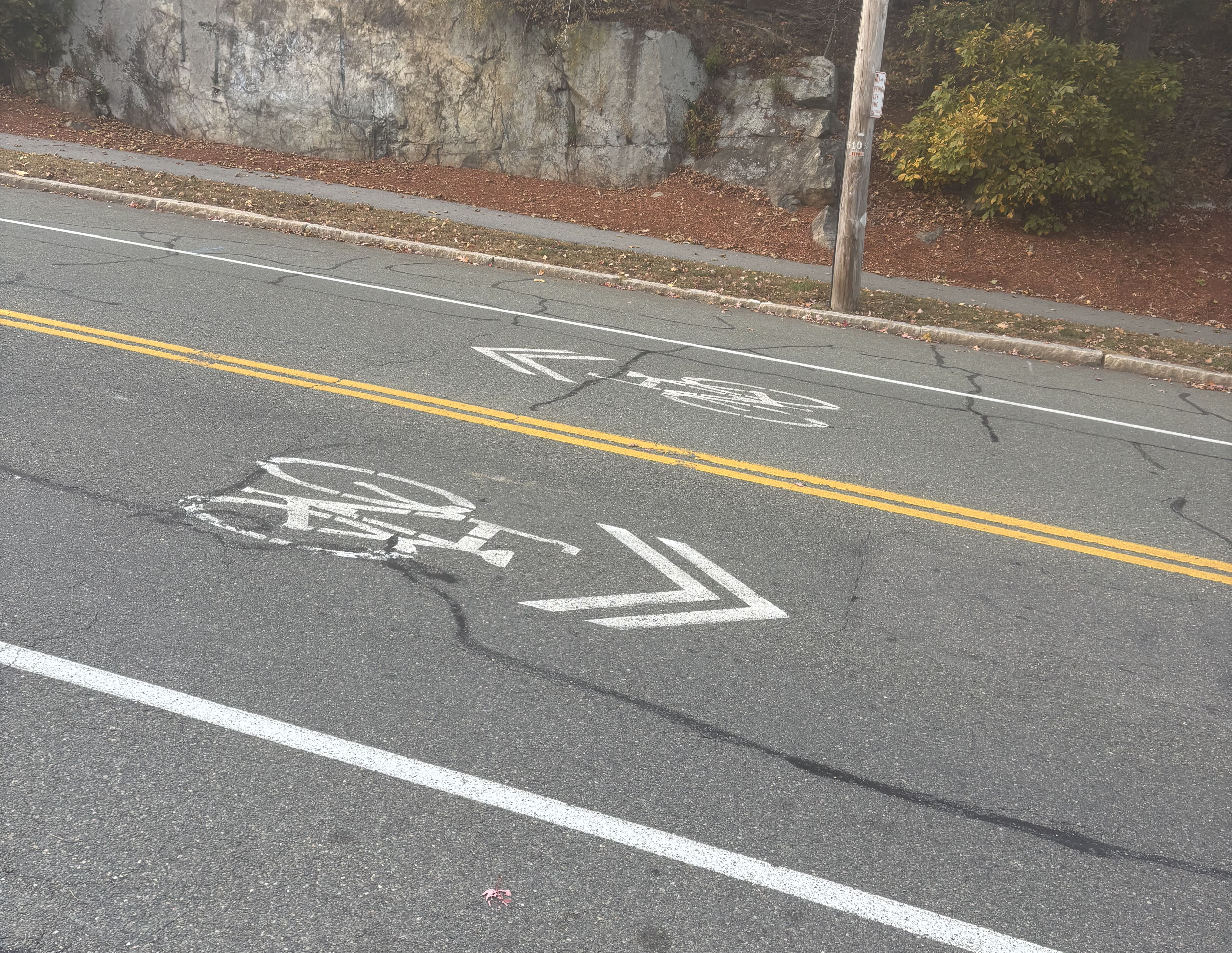Image B (painted bicycle icon markings )